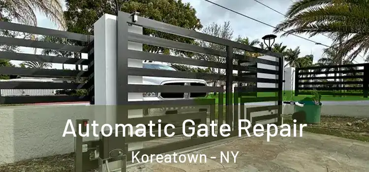  Automatic Gate Repair Koreatown - NY
