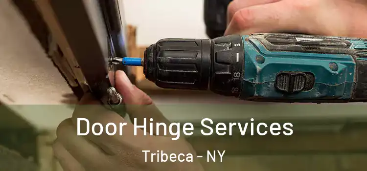  Door Hinge Services Tribeca - NY