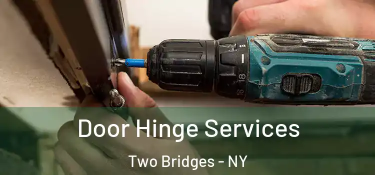  Door Hinge Services Two Bridges - NY