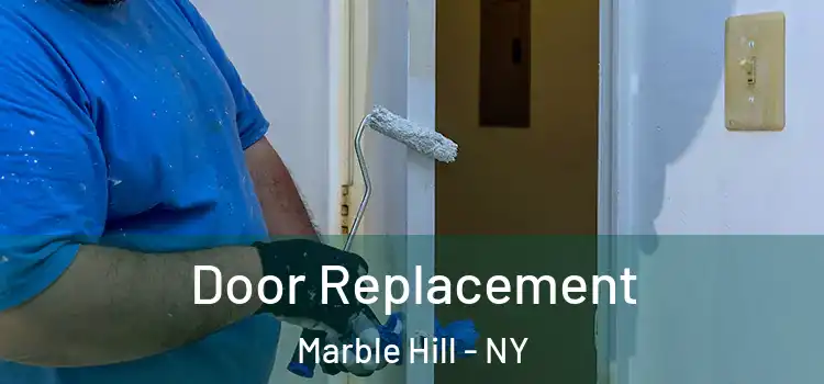  Door Replacement Marble Hill - NY