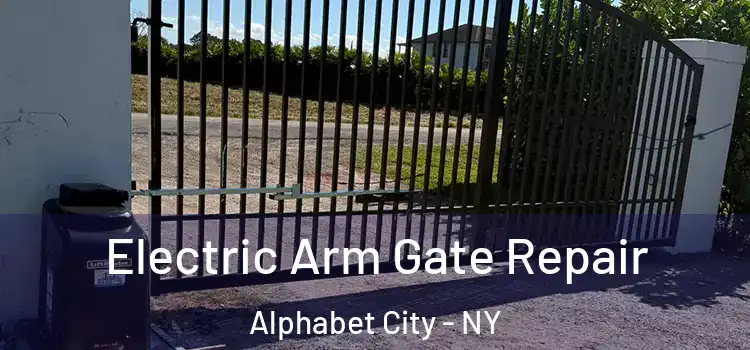  Electric Arm Gate Repair Alphabet City - NY