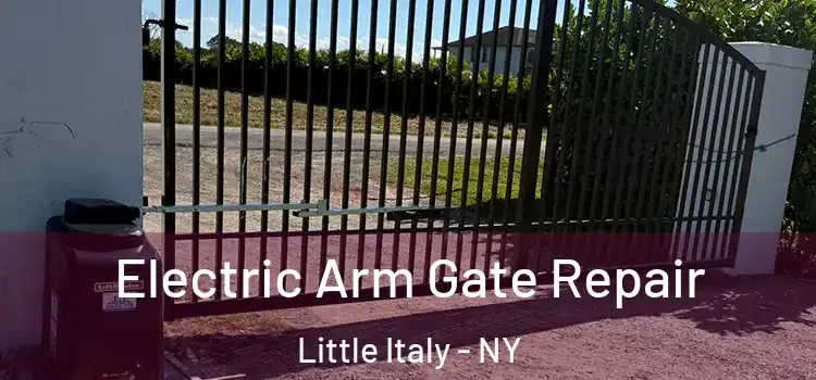  Electric Arm Gate Repair Little Italy - NY