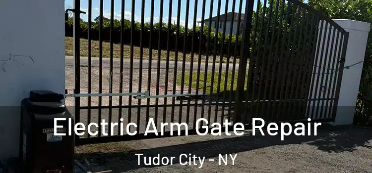  Electric Arm Gate Repair Tudor City - NY