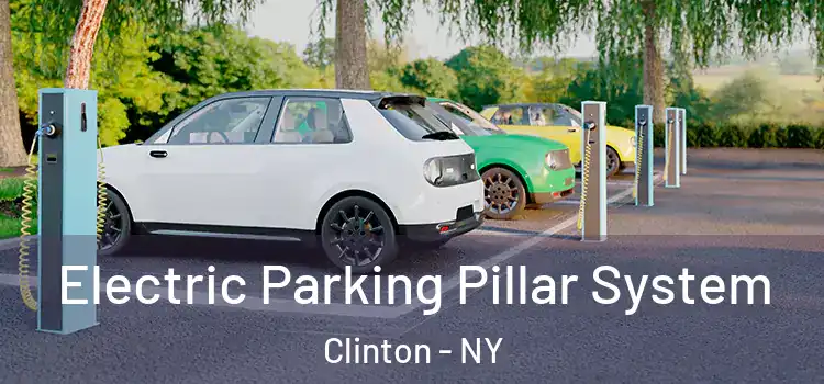  Electric Parking Pillar System Clinton - NY