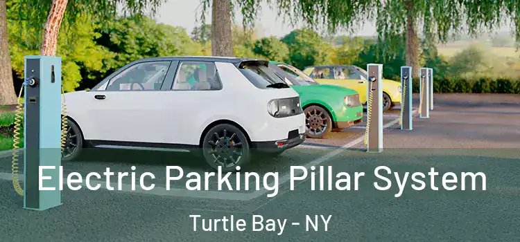  Electric Parking Pillar System Turtle Bay - NY