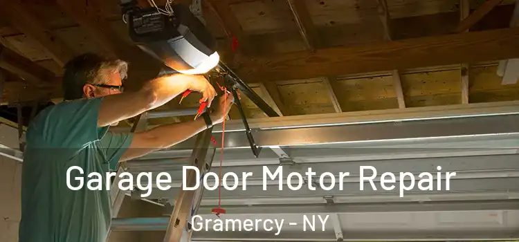  Garage Door Motor Repair Gramercy - NY