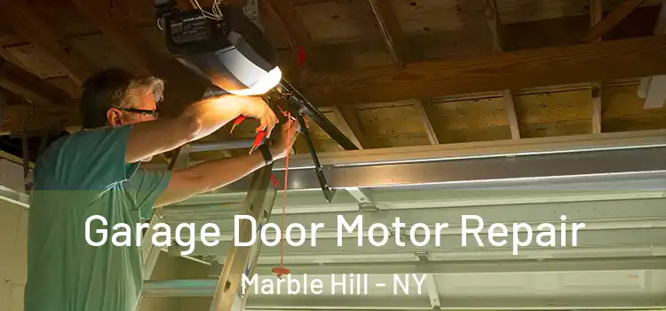  Garage Door Motor Repair Marble Hill - NY