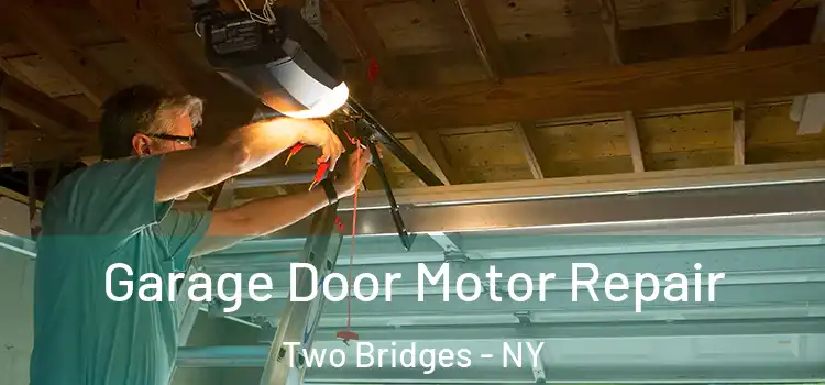  Garage Door Motor Repair Two Bridges - NY