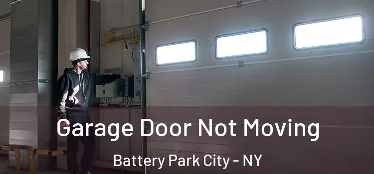  Garage Door Not Moving Battery Park City - NY