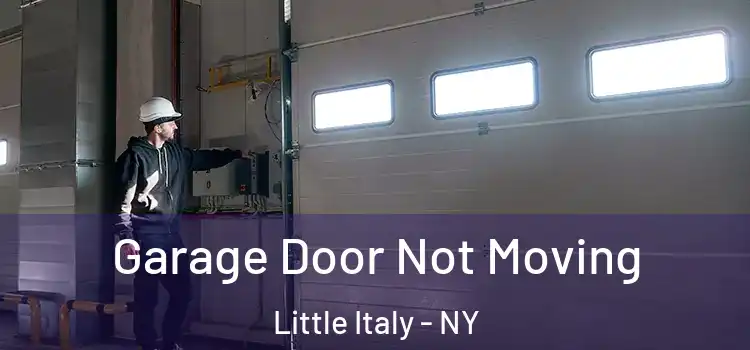  Garage Door Not Moving Little Italy - NY