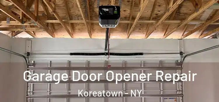  Garage Door Opener Repair Koreatown - NY