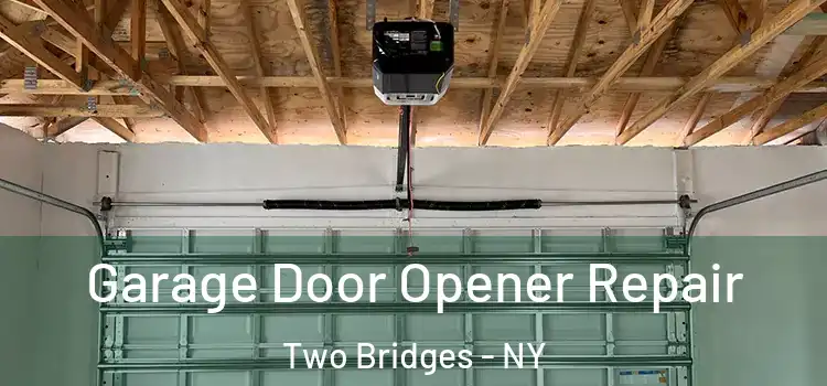  Garage Door Opener Repair Two Bridges - NY