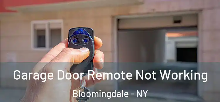  Garage Door Remote Not Working Bloomingdale - NY