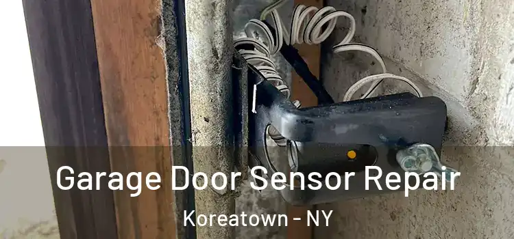  Garage Door Sensor Repair Koreatown - NY