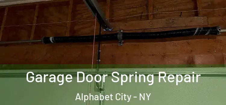  Garage Door Spring Repair Alphabet City - NY