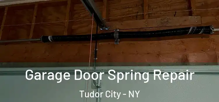  Garage Door Spring Repair Tudor City - NY