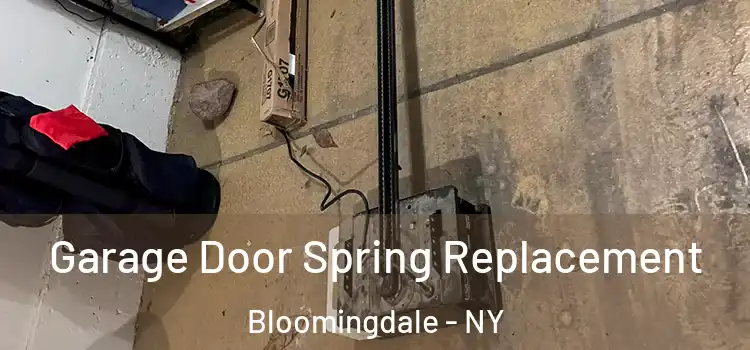  Garage Door Spring Replacement Bloomingdale - NY