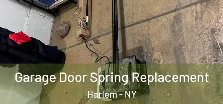  Garage Door Spring Replacement Harlem - NY
