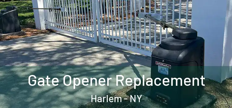  Gate Opener Replacement Harlem - NY