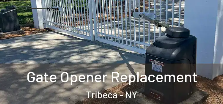  Gate Opener Replacement Tribeca - NY