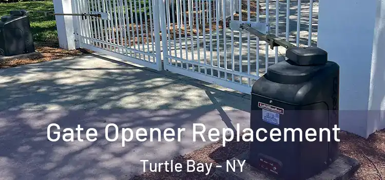  Gate Opener Replacement Turtle Bay - NY