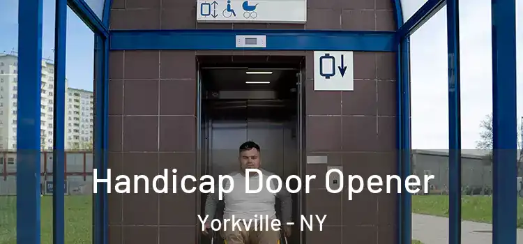  Handicap Door Opener Yorkville - NY