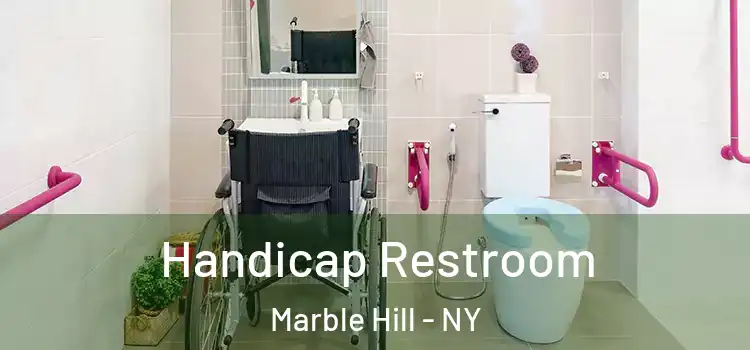  Handicap Restroom Marble Hill - NY