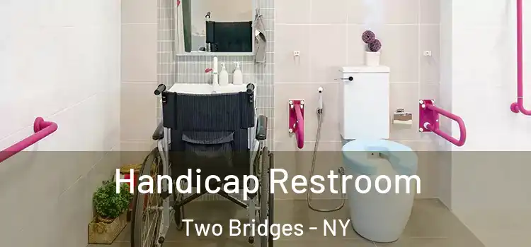  Handicap Restroom Two Bridges - NY