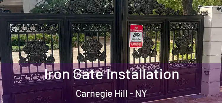 Iron Gate Installation Carnegie Hill - NY