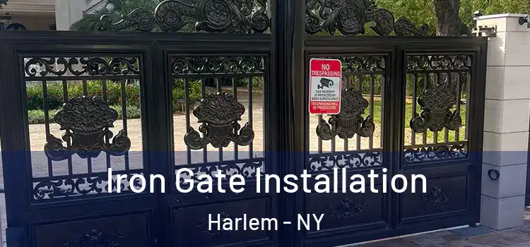  Iron Gate Installation Harlem - NY