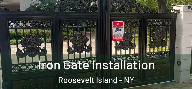  Iron Gate Installation Roosevelt Island - NY