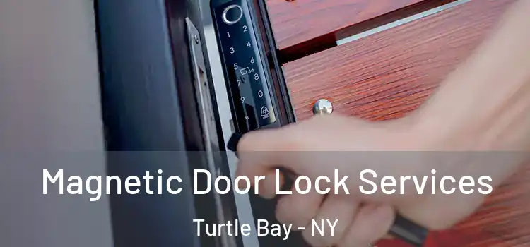 Magnetic Door Lock Services Turtle Bay - NY