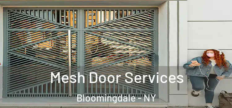  Mesh Door Services Bloomingdale - NY