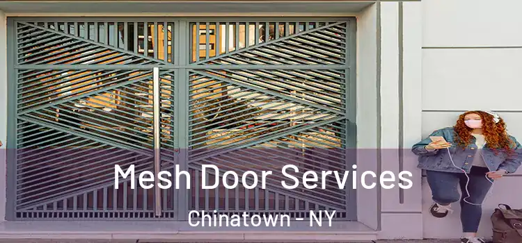  Mesh Door Services Chinatown - NY
