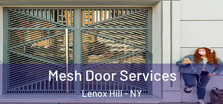  Mesh Door Services Lenox Hill - NY