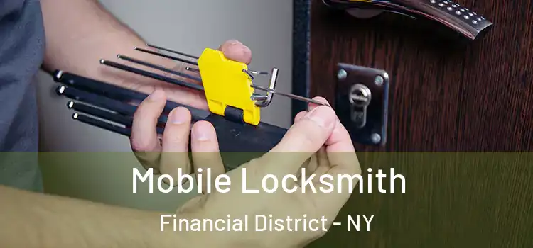  Mobile Locksmith Financial District - NY