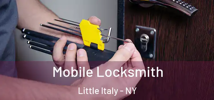  Mobile Locksmith Little Italy - NY