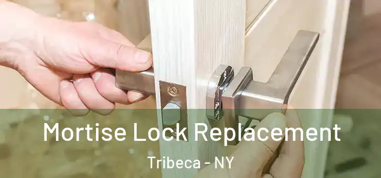  Mortise Lock Replacement Tribeca - NY