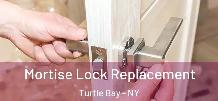  Mortise Lock Replacement Turtle Bay - NY