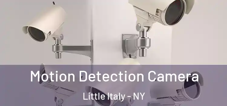  Motion Detection Camera Little Italy - NY