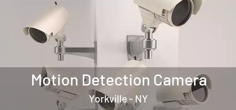  Motion Detection Camera Yorkville - NY