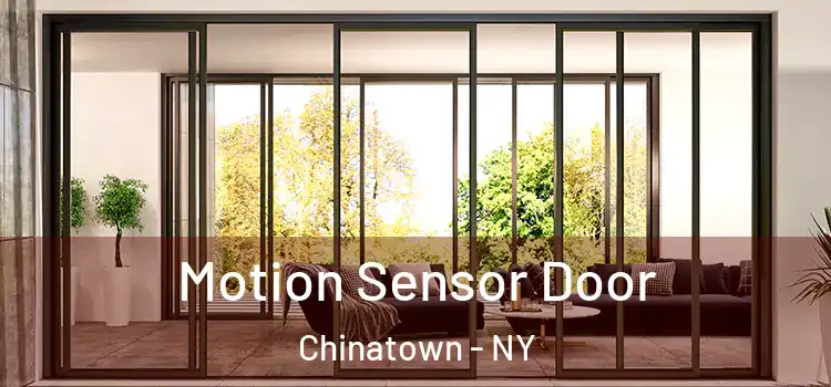  Motion Sensor Door Chinatown - NY