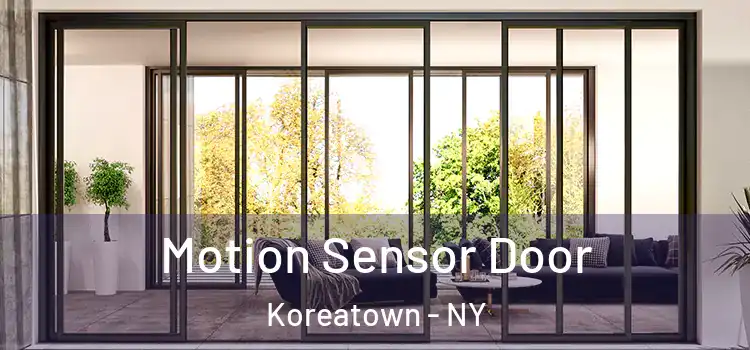  Motion Sensor Door Koreatown - NY