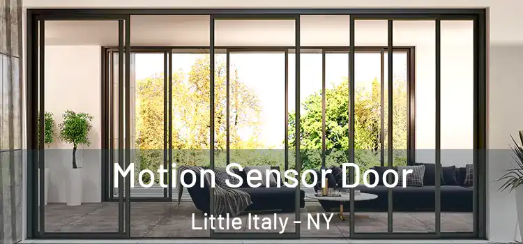  Motion Sensor Door Little Italy - NY