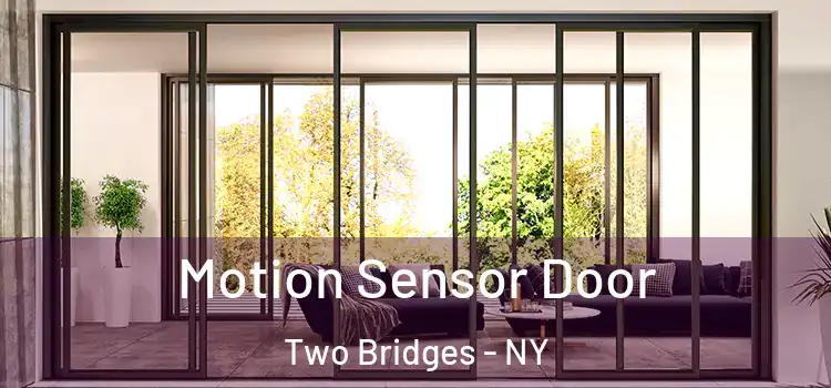  Motion Sensor Door Two Bridges - NY