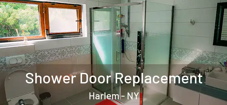  Shower Door Replacement Harlem - NY