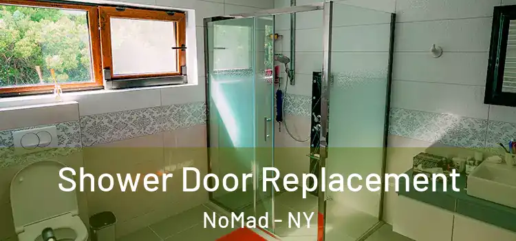  Shower Door Replacement NoMad - NY