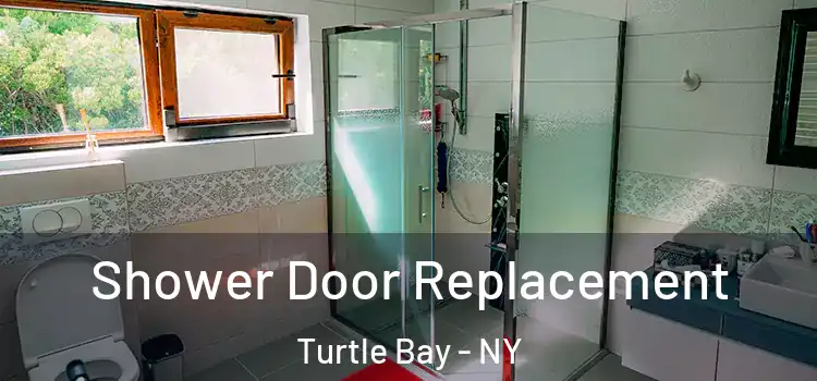  Shower Door Replacement Turtle Bay - NY