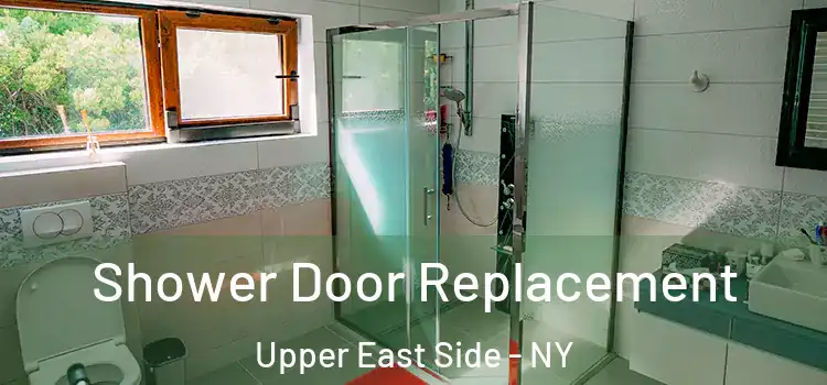  Shower Door Replacement Upper East Side - NY
