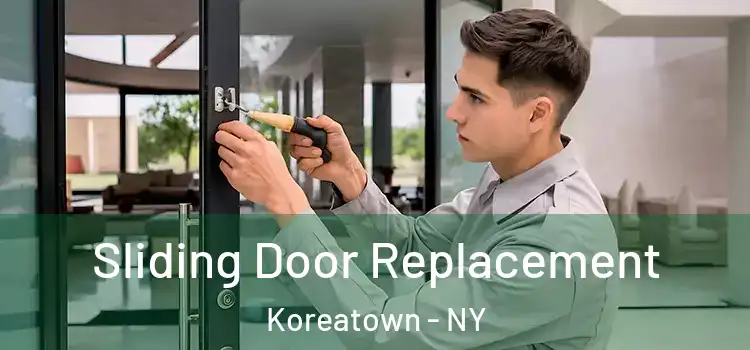  Sliding Door Replacement Koreatown - NY